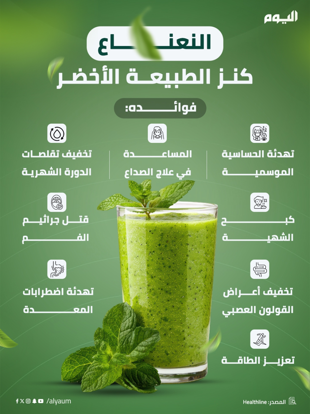 النعناع.. كنز الطبيعة الأخضر